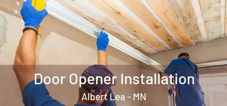  Door Opener Installation Albert Lea - MN