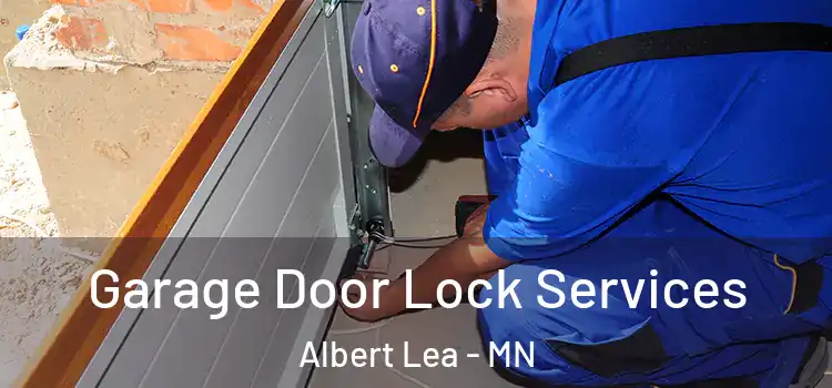 Garage Door Lock Services Albert Lea - MN
