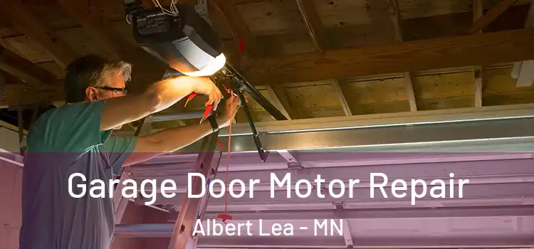  Garage Door Motor Repair Albert Lea - MN