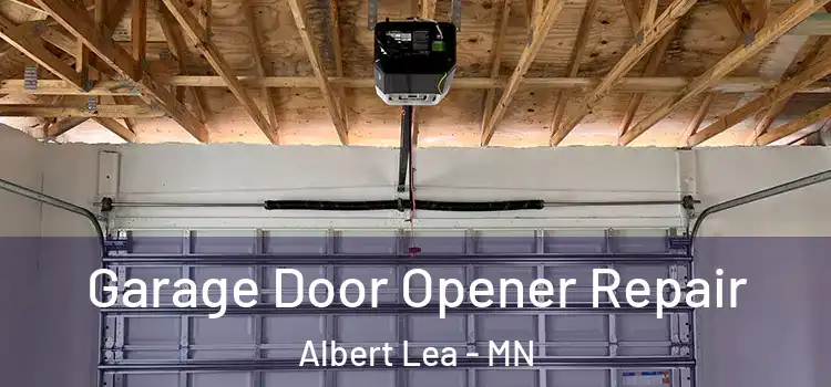  Garage Door Opener Repair Albert Lea - MN