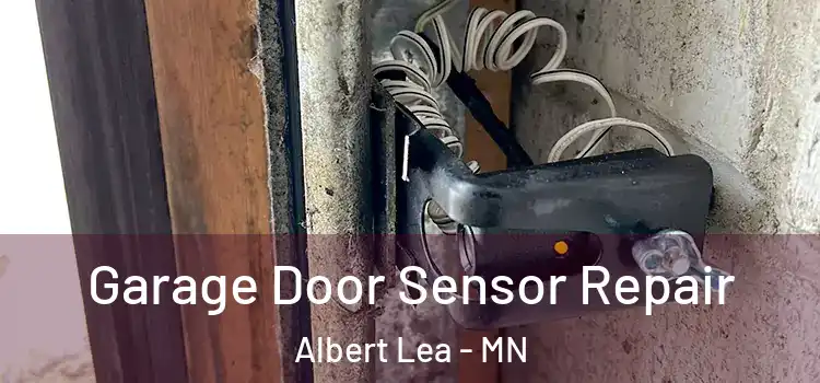 Garage Door Sensor Repair Albert Lea - MN