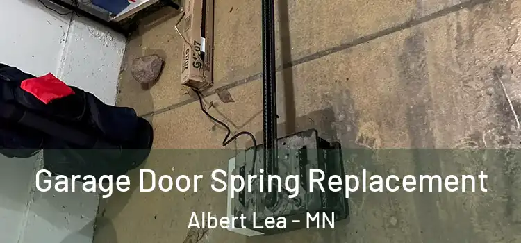  Garage Door Spring Replacement Albert Lea - MN