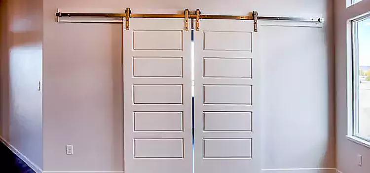 Glass Barn Door with Installation Hardware Kit Albert Lea