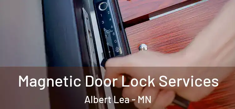 Magnetic Door Lock Services Albert Lea - MN