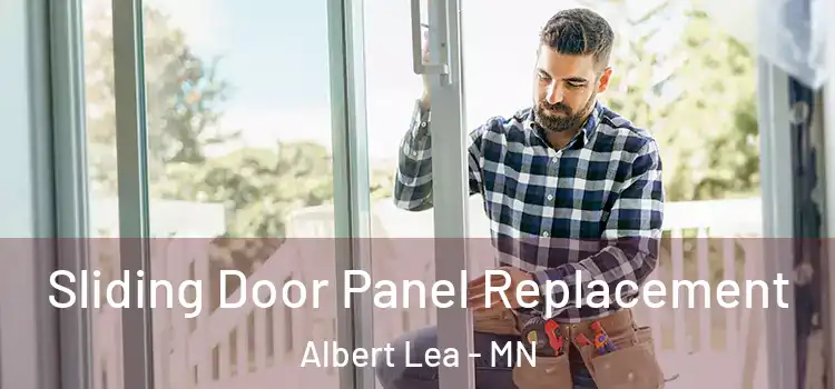  Sliding Door Panel Replacement Albert Lea - MN
